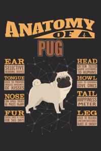 Anatomy Of A Pug