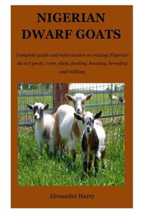 Nigerian Dwarf Goats