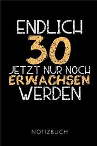 Endlich 30 Notizbuch