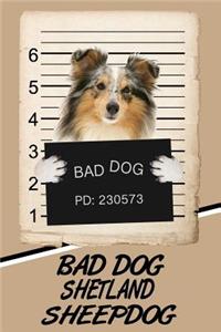 Bad Dog Shetland Sheepdog