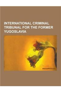 International Criminal Tribunal for the Former Yugoslavia