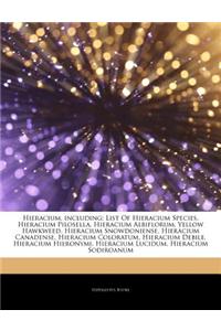 Articles on Hieracium, Including: List of Hieracium Species, Hieracium Pilosella, Hieracium Albiflorum, Yellow Hawkweed, Hieracium Snowdoniense, Hiera