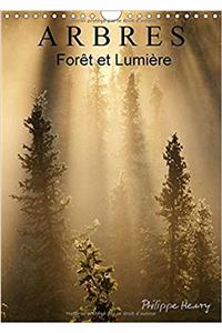 Arbres. Foret et Lumiere 2017