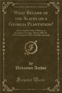 What Became of the Slaves on a Georgia Plantation?