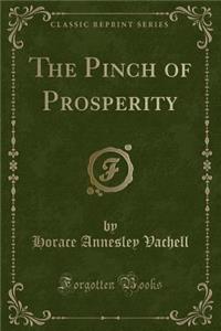 The Pinch of Prosperity (Classic Reprint)