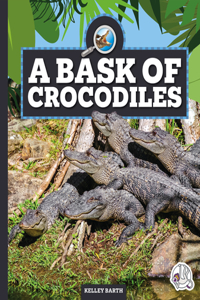 Bask of Crocodiles