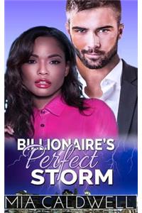 Billionaire's Perfect Storm