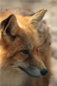MindBlowing Cut Animal Fox Journal 18