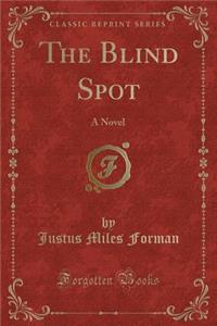 The Blind Spot: A Novel (Classic Reprint)
