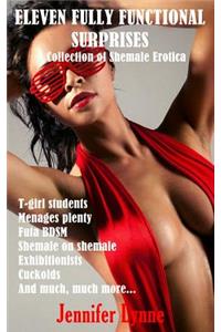 Eleven Fully Functional Surprises