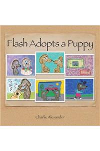 Flash Adopts a Puppy