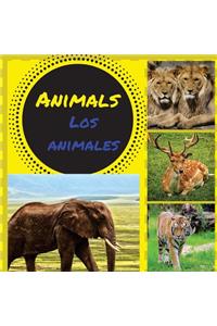 Animals