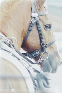 Such a Pretty Creamy Tan Colored Horse in Profile Journal