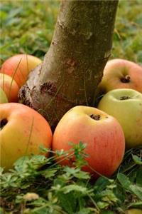 Apples Ringed around a Tree Journal