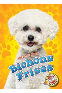 Bichons Frises