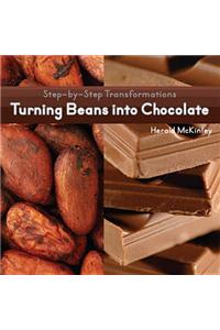 Turning Beans Into Chocolate