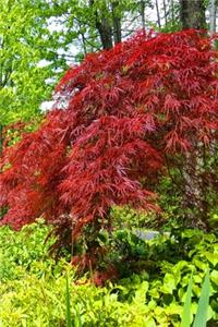 2020 Daily Planner Summertime 388 Pages