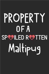 Property Of A Spoiled Rotten Maltipug