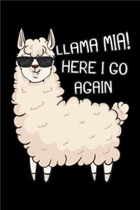 Llama Mia! Here I Go Again