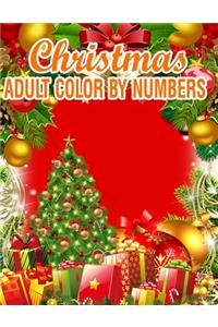 Christmas Adult Color By Numbers