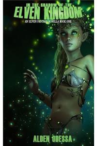 In the Shadow of the Elven Kingdom