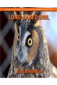 Long-Eared Owl