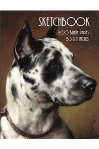 Sketchbook (Great Dane)