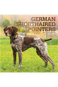 German Shorthaired Pointers 2021 Square Foil