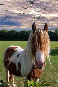 Pretty Pony Needs a Haircut Journal