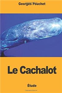 Le Cachalot