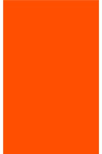 Orange 101 - Lined Notebook