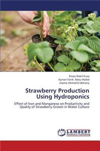 Strawberry Production Using Hydroponics