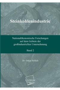Steinkohlenindustrie (Band 2)