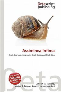Assiminea Infima
