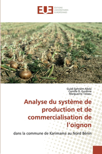 Analyse du système de production et de commercialisation de l'oignon