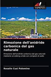Rimozione dell'anidride carbonica dal gas naturale