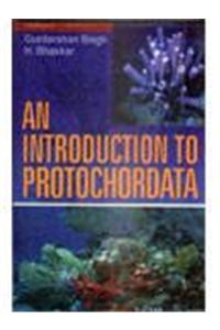 An Introduction to Protochordata
