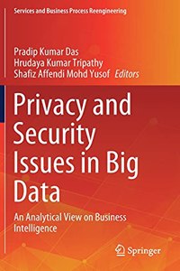 Privacy and Security Issues in Big Data