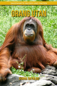 Orang Utan