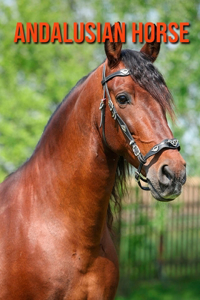 Andalusian Horse