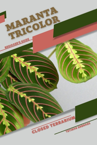 Maranta tricolor