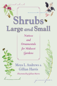 Shrubs Large and Small