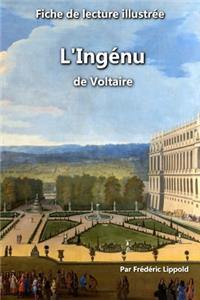 Fiche de lecture illustrée - L'Ingénu, de Voltaire