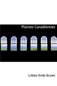 Plantes Canadiennes