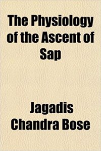 The Physiology of the Ascent of SAP