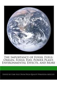 The Importance of Fossil Fuels