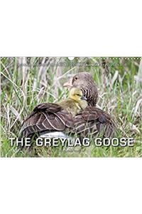 Emotional Moments: The Greylag Goose. / UK-Version 2017