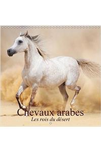 Chevaux Arabes * Les Rois Du Desert 2018
