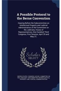 Possible Protocol to the Berne Convention