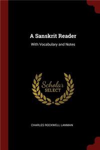 A Sanskrit Reader